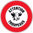 DISQUE 30CM ATTENT. TROUPEAU D29