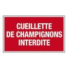 PLAQUE CUEILLETTE CHAMPIGNONS