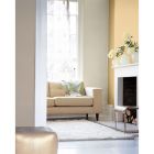 Testeur peinture TEST! Biscuit - rouleau de 0,03L