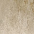 Gres cerame porcelaine My Earth Carreau de fond 60 x60 beige multicolor