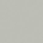 Gres cerame porcelaine Pro Architectura 3.0 Carreau de fond 60 x60 secret grey