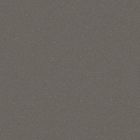 Gres cerame porcelaine Pro Architectura 3.0 Carreau de fond 20 x20 solid grey