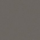 Gres cerame porcelaine Pro Architectura 3.0 Carreau de fond 30 x30 solid grey