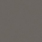 Gres cerame porcelaine Pro Architectura 3.0 Carreau de fond 30 x30 solid grey