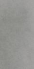Gres cerame porcelaine X-Plane Carreau de fond 30 x60 grey