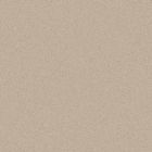 Gres cerame porcelaine Pure Line 2.0 Carreau de fond 60 x60 beige sable