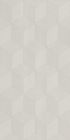 Faience Metalyn Decor 30 x60 platinum grey