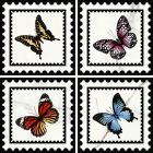 Faience Victorian Decor 20 x20 white perforated