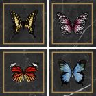 Faience Victorian Decor 20 x20 black-gold