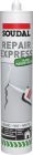 Enduit de rebouchage - REPAIR EXPRESS Plâtre blanc - cartouche de 290ml