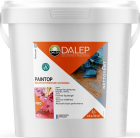 Decapant Peinture Universel PAINTOP - Bidon 5 L