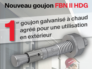 Nouveau goujon FBN II