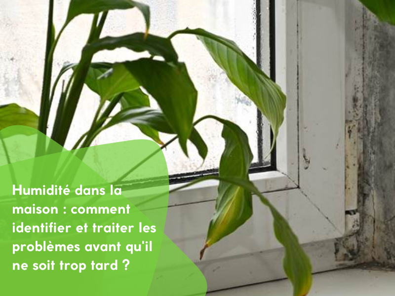 Humidité dans la maison : comment identifier et traiter les problèmes avant qu'il ne soit trop tard ?