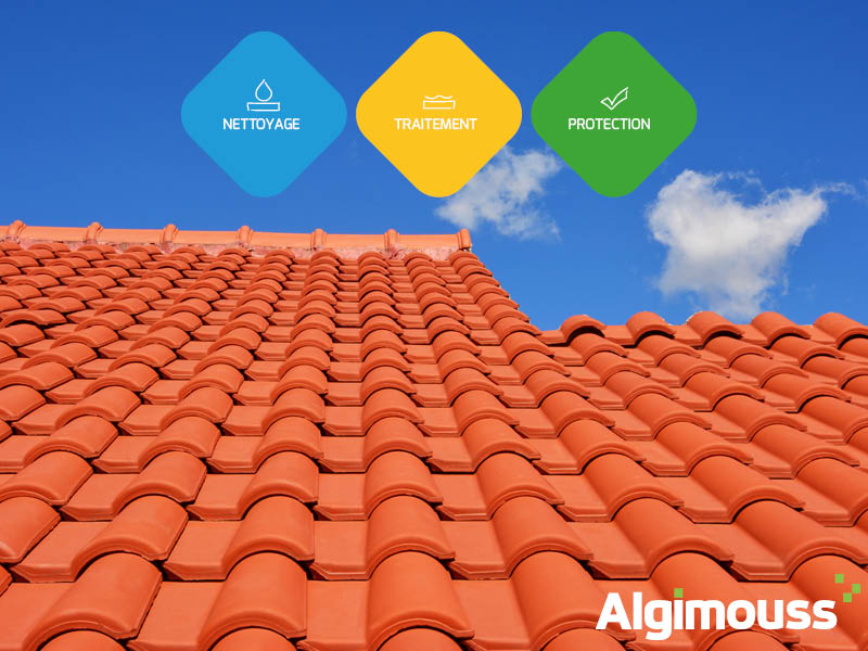 Comment nettoyer votre toiture ? Avec Algimouss, débarrassez-vous des parasites qui habitent votre toiture !