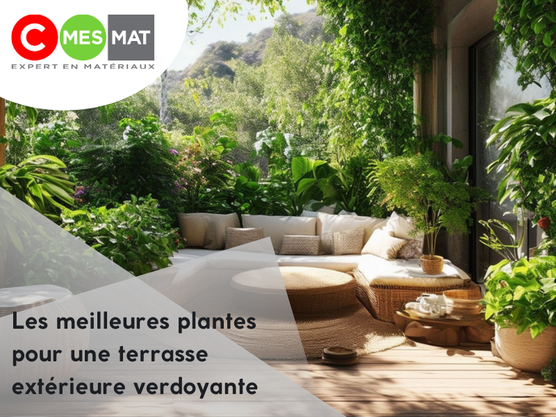 Les meilleures plantes pour une terrasse extérieure verdoyante
