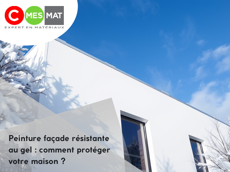 Peinture façade résistante au gel : comment protéger votre maison ?