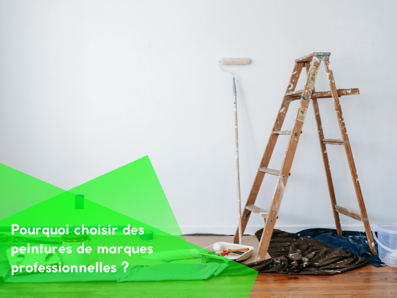 Pourquoi choisir des peintures de marques professionnelles ?