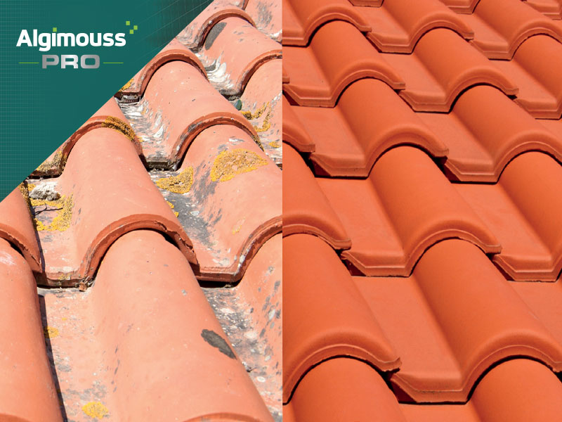 Entretenir sa toiture grâce aux produits ALGIMOUSS PRO