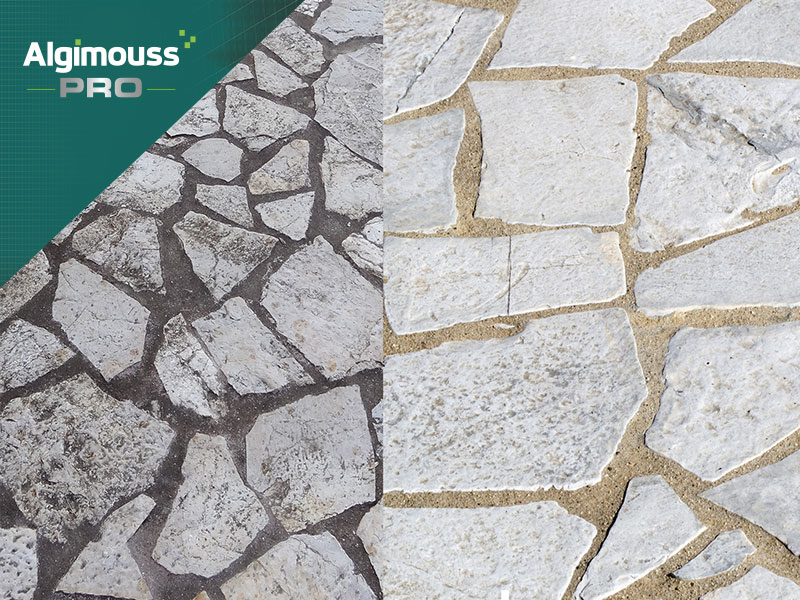 Entretenir sa terrasse grâce aux produits ALGIMOUSS PRO