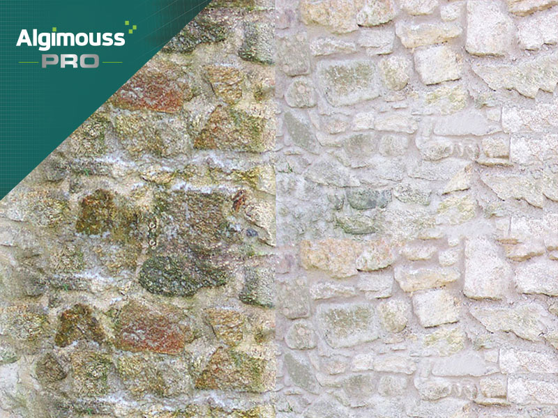 Entretenir sa façade grâce aux produits ALGIMOUSS PRO
