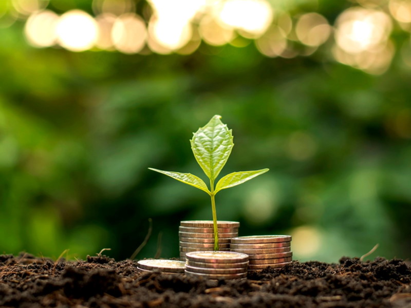 Univers isolation : comment faire davantage d'économies grâce aux comparateurs d'électricité ?