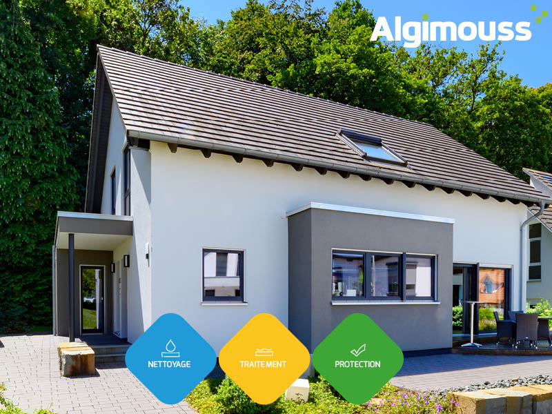 Guide complet pour Nettoyer, Traiter et Protéger vos murs et façade avec les produits Algimouss