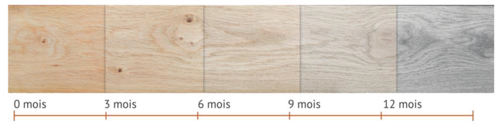 évolution couleur lame terrasse bois
