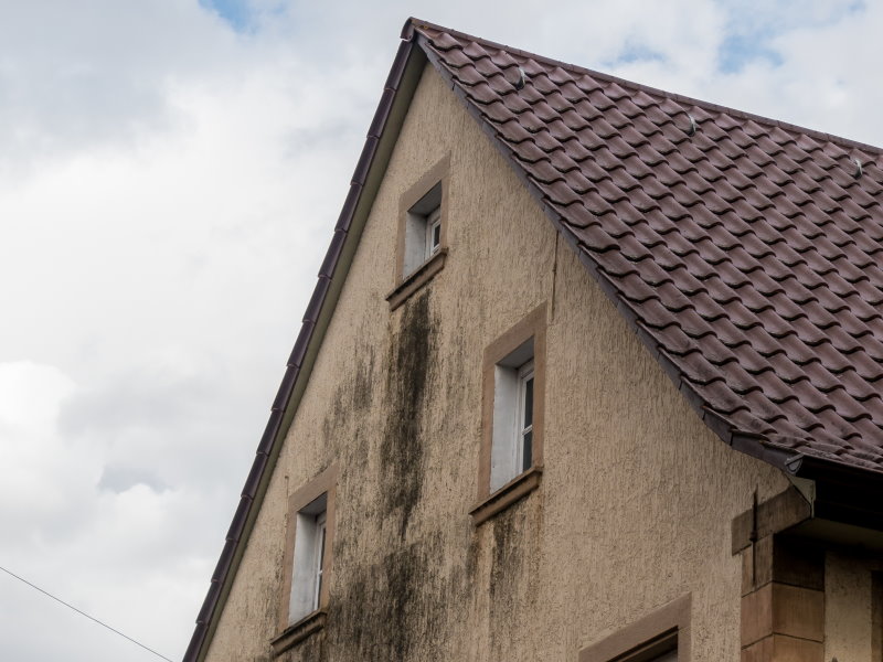 Je nettoie ma façade contre la pollution végétale